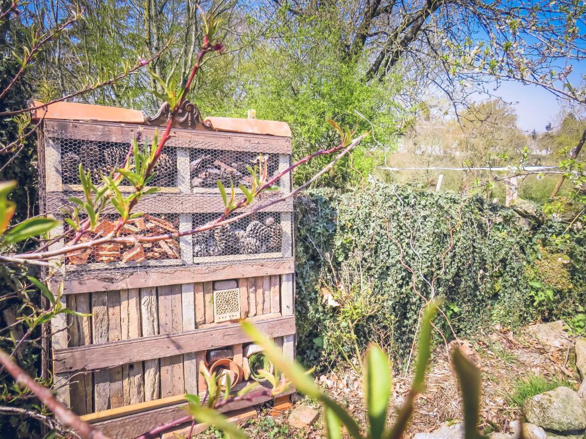 Domaine Des Fees Apartment La Gaubretiere Bagian luar foto
